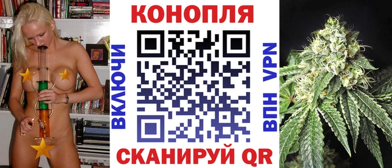 Шишки марихуана OG Kush  Велиж 